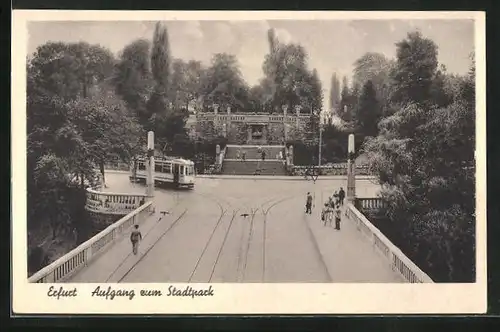 AK Erfurt, Aufgang zum Stadtpark, Strassenbahn