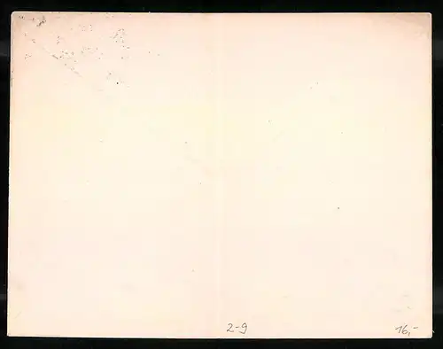 Briefumschlag Berlin, Berliner Privatpost Spedition, 2 Pfg.