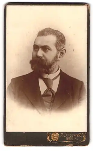 Fotografie A. Jandorf & Co., Berlin-SW, Bellealliancestrasse 1-2, Portrait eleganter Herr mit Vollbart