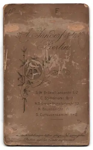 Fotografie A. Jandorf & Co., Berlin-SW, Bellealliancestrasse 1-2, Portrait eleganter Herr mit Vollbart