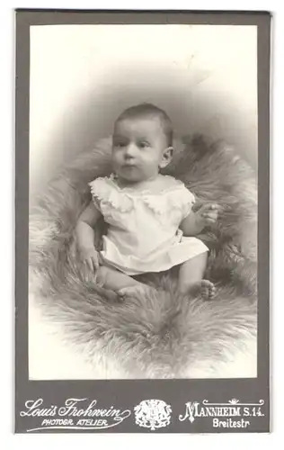 Fotografie Louis Frohwein, Mannheim, Breitestr., Portrait süsses Kleinkind im weissen Hemd sitzt auf Fell
