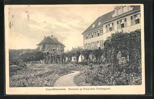 AK Essen-Rüttenscheid, Rosenplatz im Krupp`schen Erholungspark