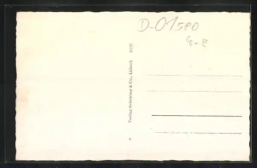 AK Riesa a. d. Elbe, Bahnhof, Rathaus, Elbbrücke