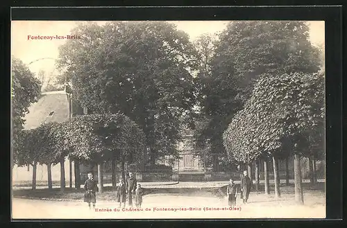 AK Fontenay-les-Briis, Entrée du Château