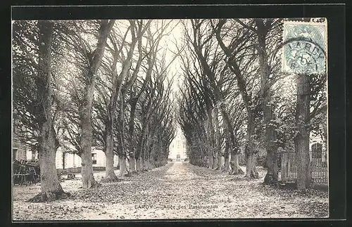 AK Lardy, Allée des Pastoreaux