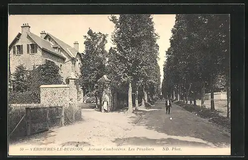 AK Verrieres-Le-Buisson, Avenue Cambacérès, Les Peupliers