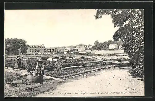 AK Verrieres-Le-Buisson, Vue générale des Etablissements Vilmorin-Andrieux