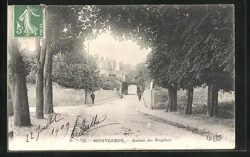 AK Montgeron, Avenue des Peupliers