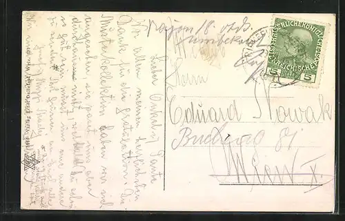 AK Weiz, Ortsansicht aus der Vogelschau