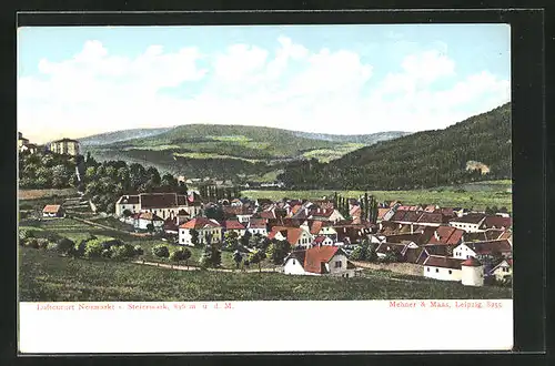 AK Neumarkt, Blick über die Dächer in die Landschaft