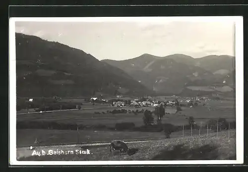 AK Au b. Gaishorn, Panorama mit Ort und Berglandschaft