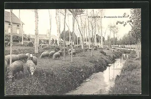 AK Etampes, Promenade des Prés