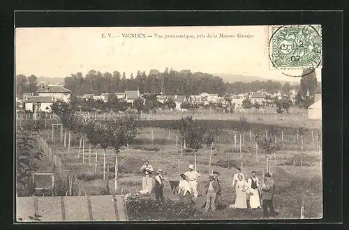 AK Vigneux, Vue paronamique, pris de la Maison Gautier