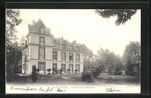 AK Vert Le Grand, Château de la Saussaie