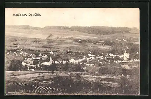 AK Gallspach, Panorama mit Ortspartie und Landschaft