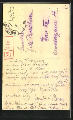 AK Hallstadt, Wohnhäuser an Flusspartie