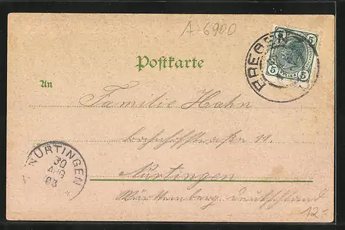 Lithographie Bregenz, Rathaus, Post Gebäude, Panorama