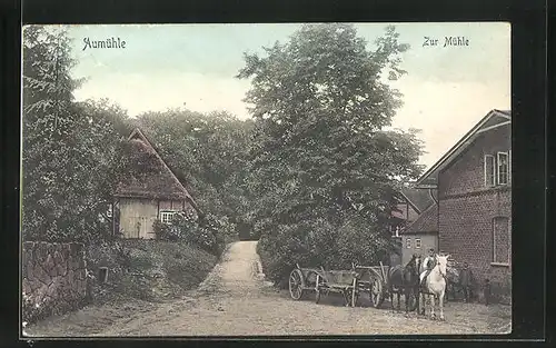 AK Aumühle, Strasse zur Mühle