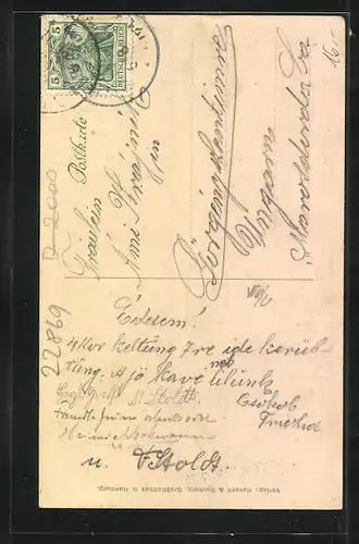 AK Schenefeld, Gasthof zur Friedenseiche v. W. Timm, Gartenpartie