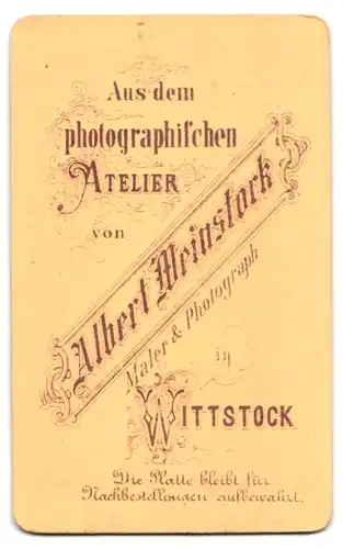 Fotografie Albert Weinstock, Wittstock, Portrait junge Dame mit Hochsteckfrisur und Kreuzkette
