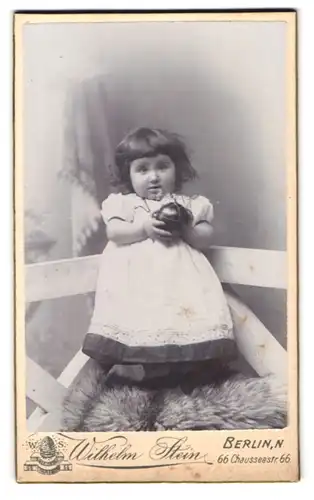 Fotografie Wilhelm Stein, Berlin, Chaussee-Str. 66, Portrait kleines Mädchen im Kleid mit Ball
