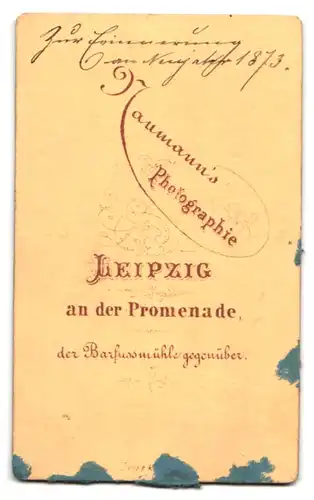 Fotografie Naumann, Leipzig, An der Promenade, Portrait junger Herr im Anzug mit Fliege