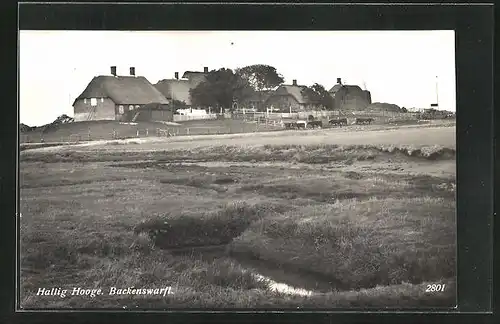 AK Hallig Hooge, Backenswarft