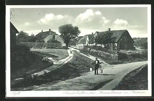 AK Keitum a. Sylt, Landschaftsmotiv mit Freisenhäusern