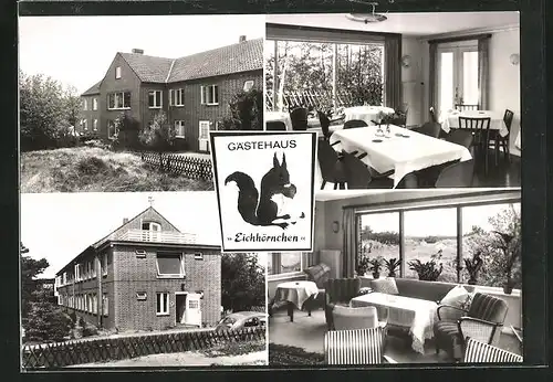 AK St. Peter-Ording, Gasthaus Eichhörnchen, Aussen- und Innenansicht