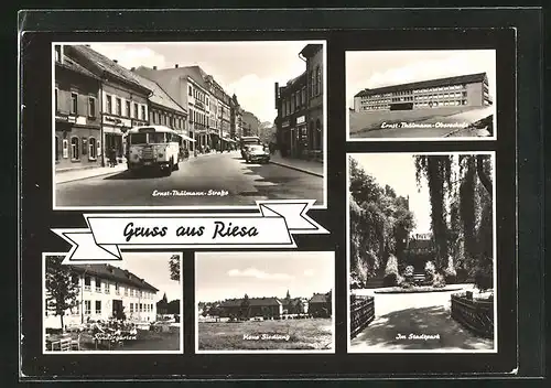 AK Riesa, Kindergarten, Ernst-Thälmann-Strasse, Stadtpark