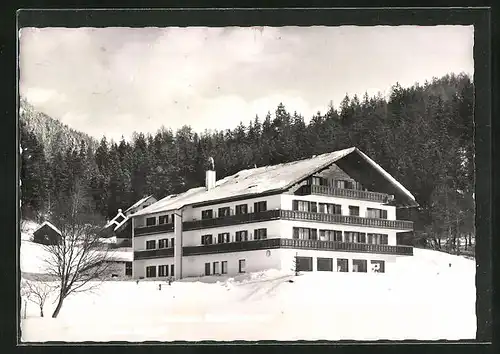 AK Mitterndorf, Salzkammergut, Hotel Pension Schmidt im Schnee
