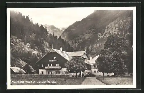 AK Maltatal, Alpenhotel Pflüglhof