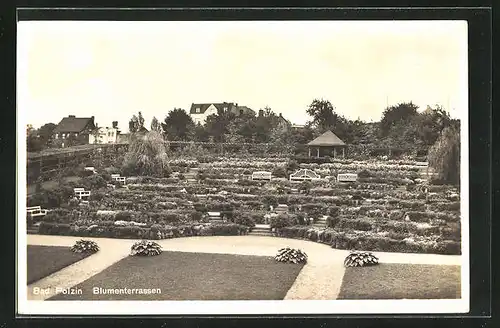 AK Polzin, Blick auf die Blumenterrassen