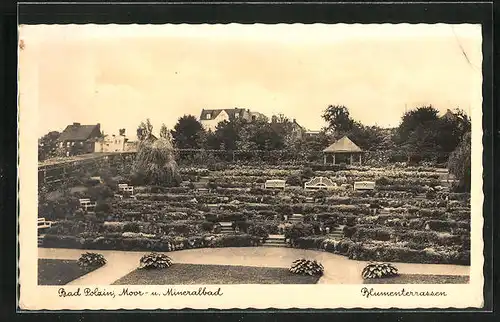 AK Polzin, Blick auf die Blumenterrassen