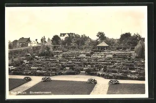 AK Polzin, Blick auf die Blumenterrassen