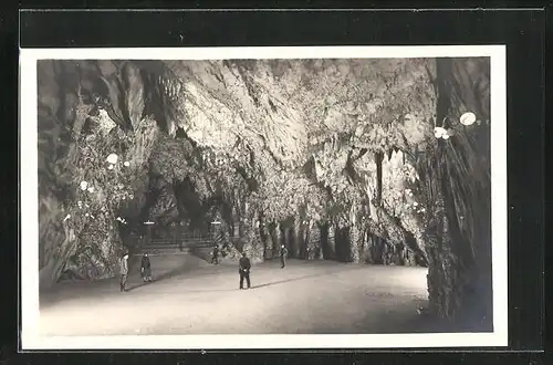 AK Triest, Grotte di Postumia, La Sala da ballo