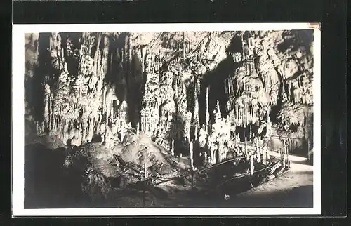 AK Triest, Grotte di Postumia, La Sala delle trine