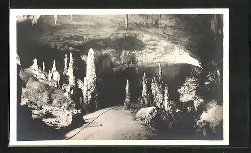 AK Triest, Grotte di Postumia, Il Viale delle colonne