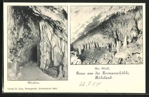 AK Rübeland im Harz, Hermannshöhle, Der Wald und Wächter