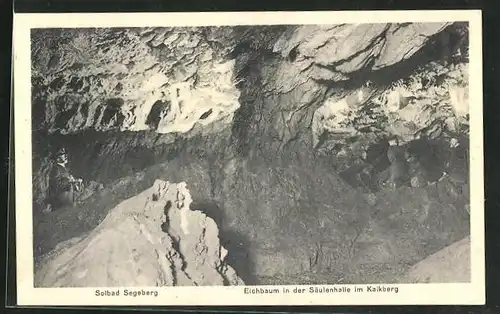 AK Bad Segeberg, Eichbaum in der Säulenhalle im Kalkberg