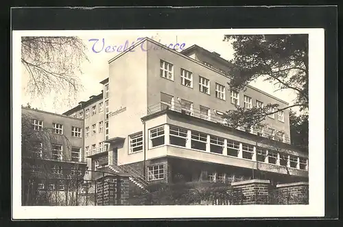 AK Zwickau i.B. / Cvikov, Sanatorium Martinovo udoli ve Cvikove
