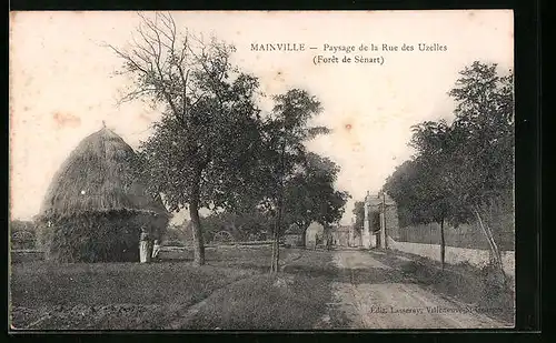AK Mainville, Paysage de la Rue des Uzelles, Foret de Sénart