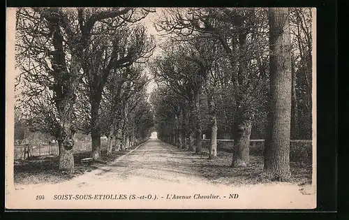 AK Soisy-sous-Etiolles, L`Avenue Chevalier