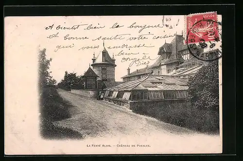 AK La Ferté-Alais, Chateau de Presles