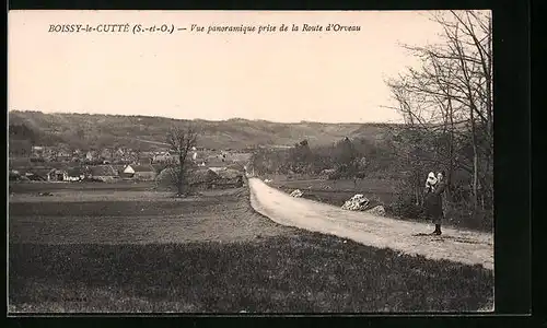 AK Boissy-le-Cutté, Vue panoramique prise de la Route d'Orveau