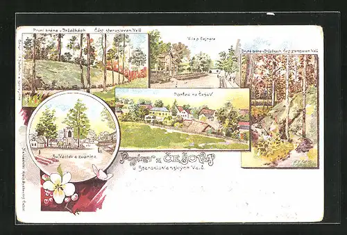 Lithographie Cesov, Celkovy Pohled, Villa p. Cajnera, Sv Vaclav a Zvonice