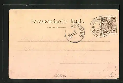 Lithographie Cesov, Celkovy Pohled, Villa p. Cajnera, Sv Vaclav a Zvonice