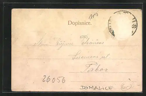 AK Domaclice, Vyrocni trh