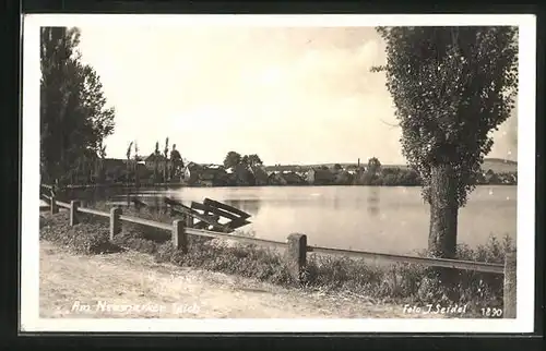 AK Neumark, Partie am Teich