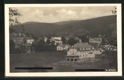 AK Zelezna Ruda na Sumave, Blick über die Stadt mit Hotel Bavaria